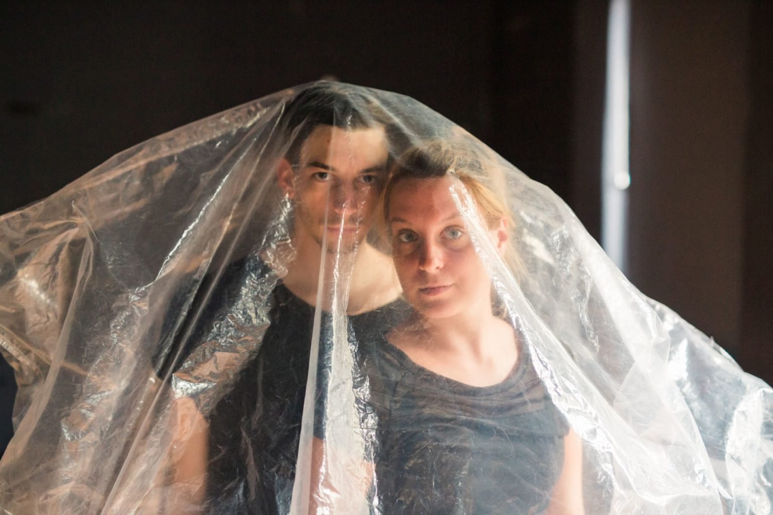 A jegesmedvék etetése tilos!