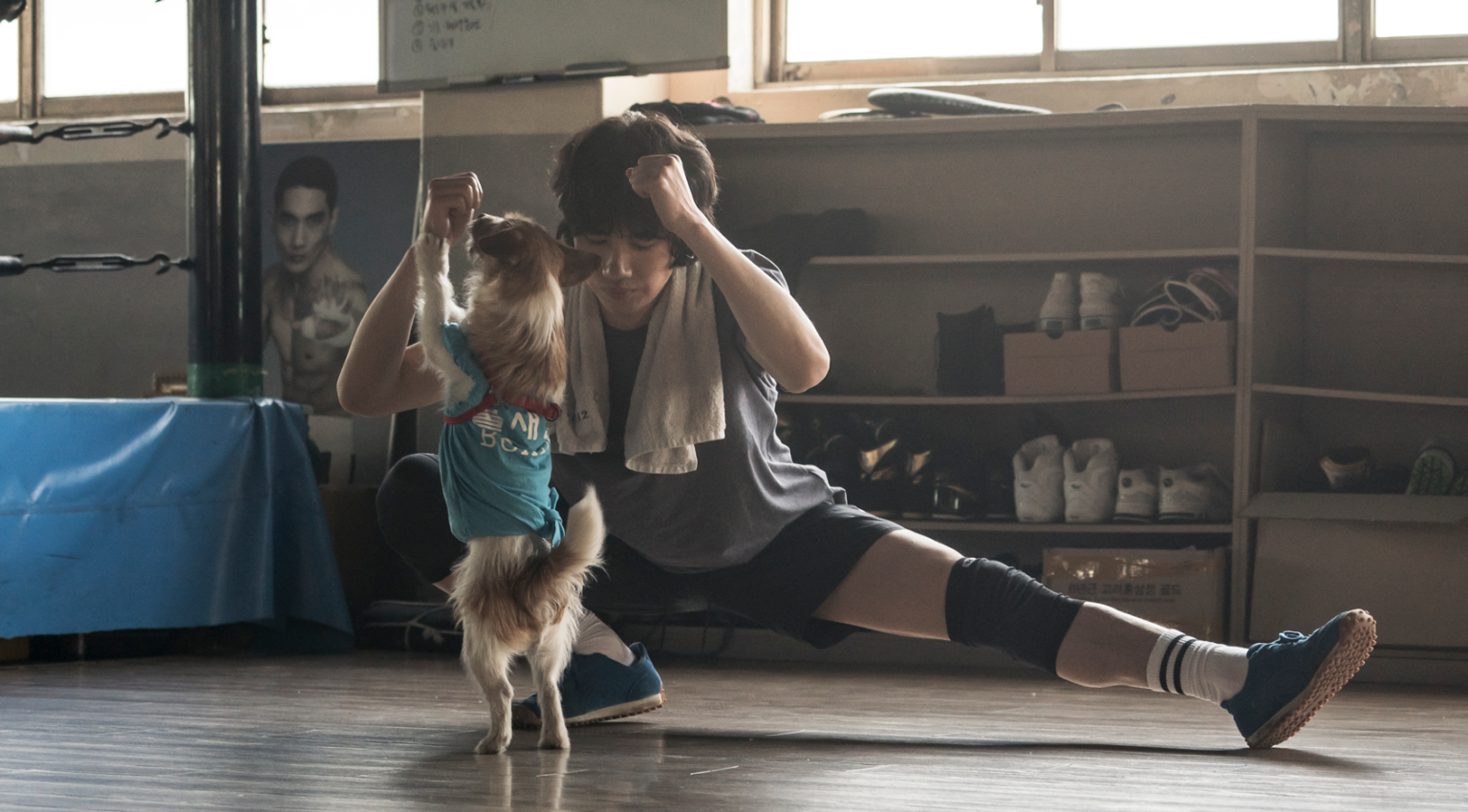 Kótyagos bokszolóm