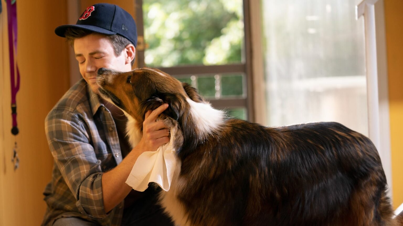 Ruby segítségével kritika thumbnail