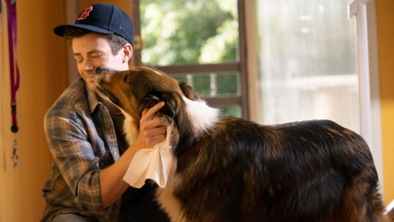 Ruby segítségével kritika thumbnail