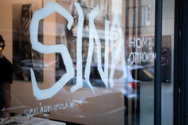 Szilágyi Imola Nelli (SINA) OTTHONOM kiállítás és interjú thumbnail