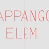 Szíj Kamilla: Lappangó elem