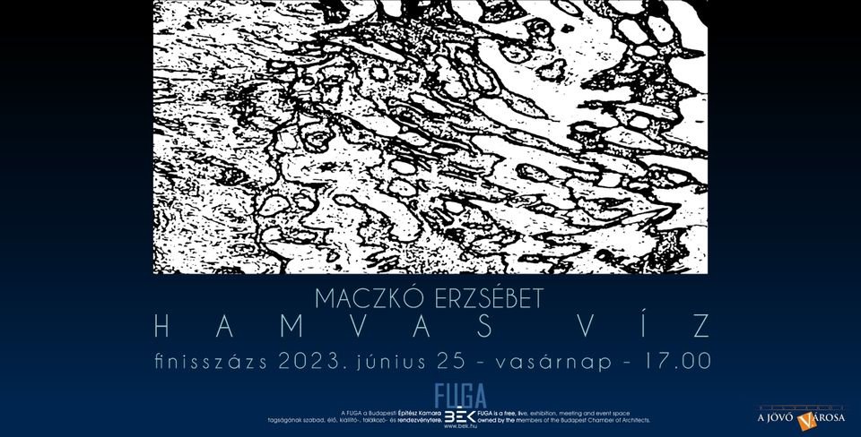 Hamvas víz: Maczkó Erzsébet kiállításán jártunk a Fugában