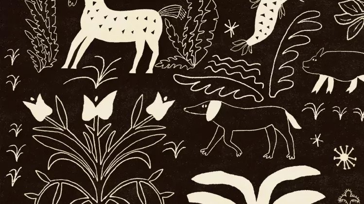 Felrajzolt könyvek, kortárs alkotók a Néprajzi Múzeumban