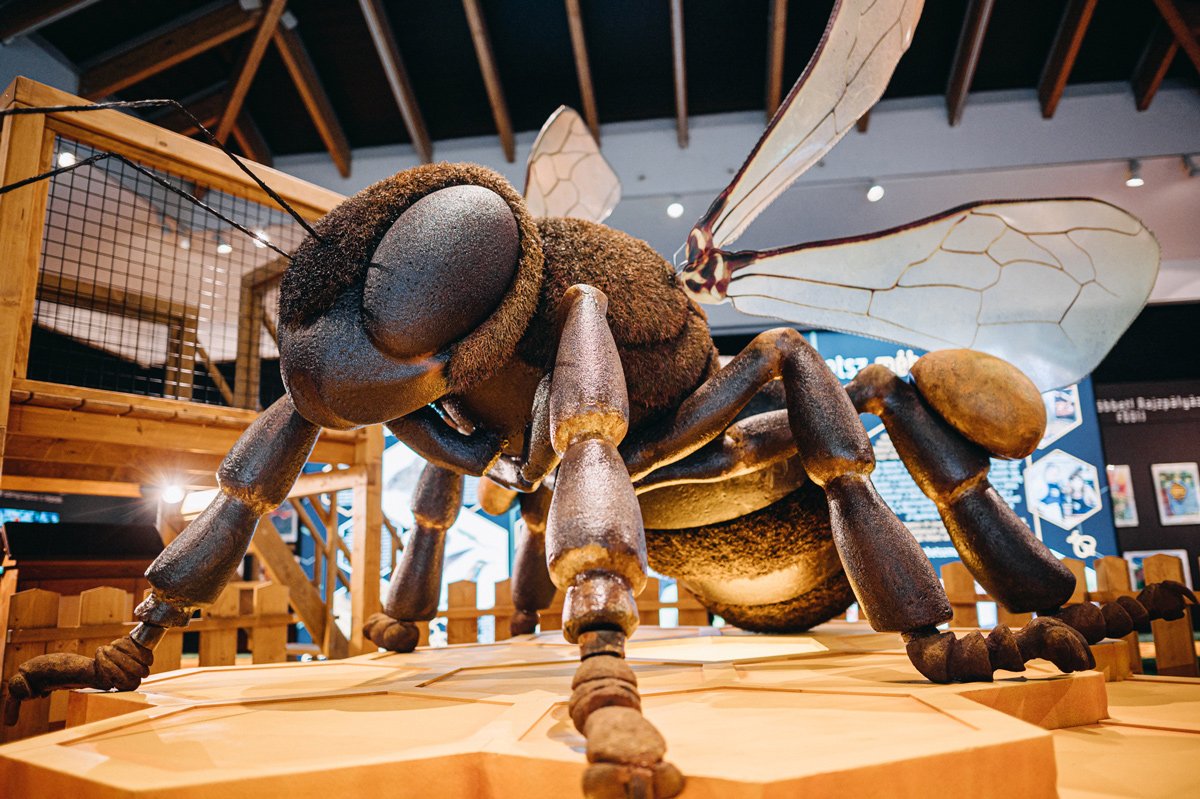 Tehetsz méh többet! thumbnail