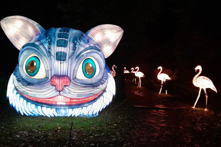 Garden of Lights: Alice Csodaországban kiállítás