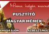Pusztító magyar mémek nyomában puszíttó magyar mémek Mama helyén marad 1. rész thumbnail